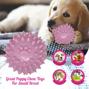 6 Pack Dog Toys, Doggie Toys Small Dogs, Toys for Puppies 0-6 Months, Best Puppy chew Toys for Teething (Pink)