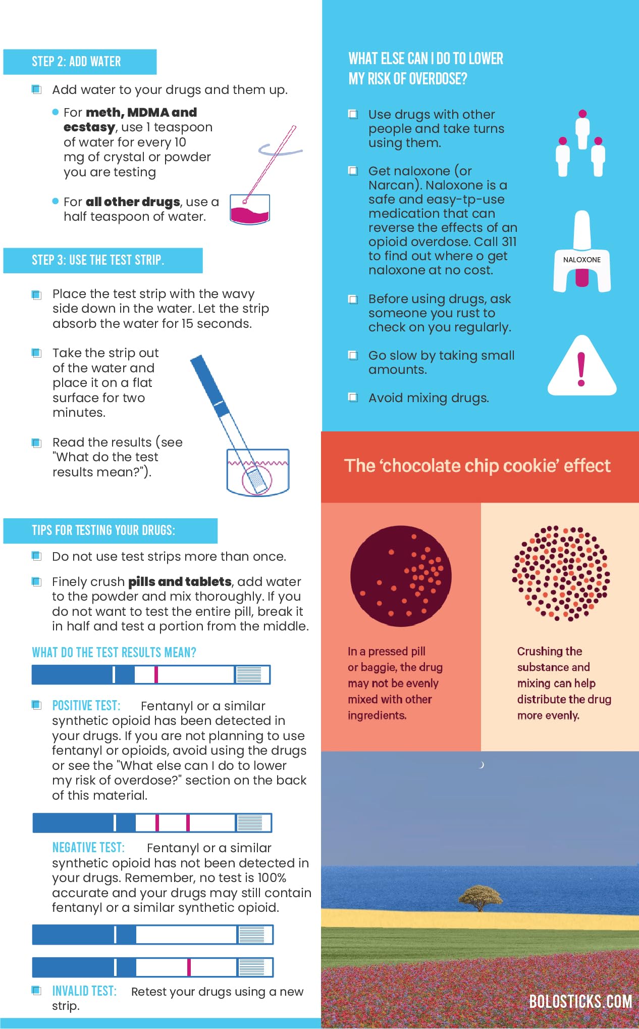 Fentanyl Test Strip Kit - Art Filled, Compact & Festival Ready - Rapid Test Strips, Testing Surface, Test Tube, Sample Scraper, and Info Booklet (Travelsize 3pcs)