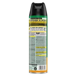 Raid House & Garden Insect Killer Spray, Orange Scent 11 Ounce (Pack of 10)