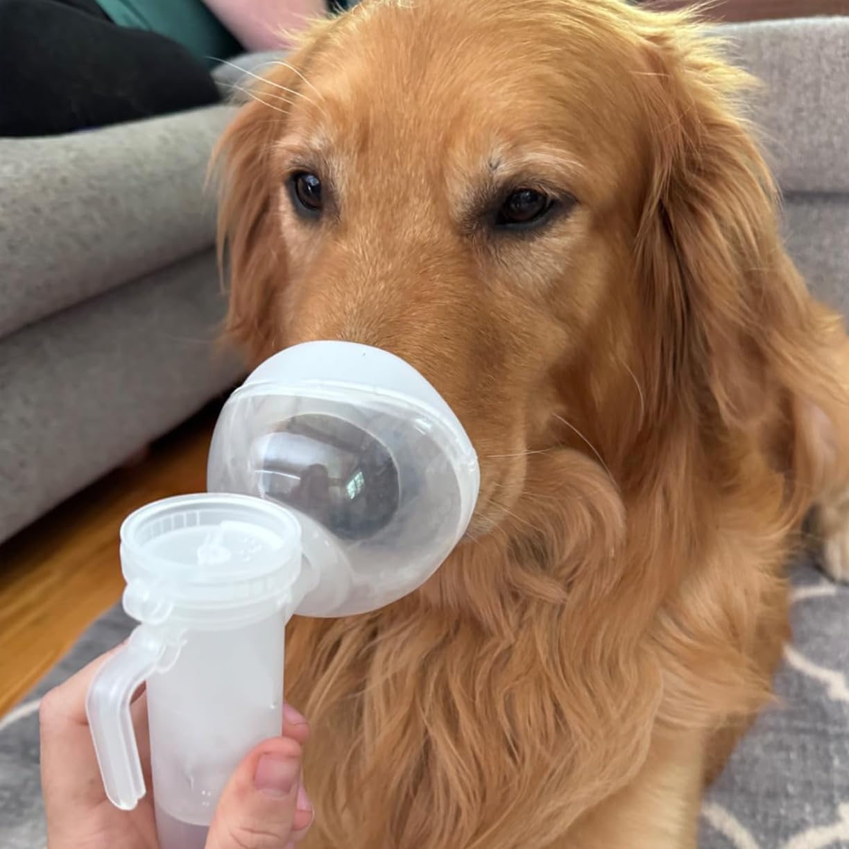 Nomeoop Pet Nebulizer mask for Puppy and Cats, with 2 -Meter Oxygen Tube,Dog Oxygen mask