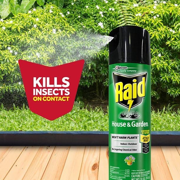 Raid House & Garden Insect Killer Spray, Orange Scent 11 Ounce (Pack of 10)