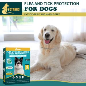 4 Pack Flea Collar for Dogs, Dog Flea and Tick Collar 8 Months Flea and Tick Treatment Prevention for Dogs, Waterproof Adjustable Dog Flea Collar Natural Tick and Flea Collar for Dogs (4Color)