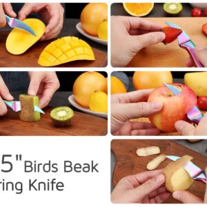 WELLSTAR 2.5 inch Birds Beak Paring Knife, Sharp High Carbon Stainless Steel Curved Blade For Fruit and Vegetable Peeling Garnishing Cutting – Rainbow