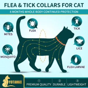 4 Pack Flea Collar for Cats, Cat Flea and Tick Collar 8 Months Cat Flea Collar Treatment Prevention, Adjustable Waterproof Cat Flea Collar Kitten Natural Tick and Flea Collar for Cat (Oragne&Green)