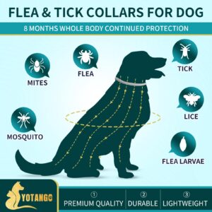 4 Pack Flea Collar for Dogs, Dog Flea and Tick Collar 8 Months Flea and Tick Treatment Prevention for Dogs, Waterproof Adjustable Dog Flea Collar Natural Tick and Flea Collar for Dogs (4Color)