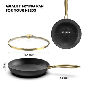 imarku Non stick Frying Pans, Long Lasting 10 Inch Frying Pan with Lid, Professional Cast Iron Skillets Nonstick Frying Pan, Frying Pans Nonstick with Lid and Stay Cool Handle, Christmas Gifts