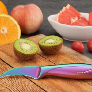 WELLSTAR 2.5 inch Birds Beak Paring Knife, Sharp High Carbon Stainless Steel Curved Blade For Fruit and Vegetable Peeling Garnishing Cutting – Rainbow