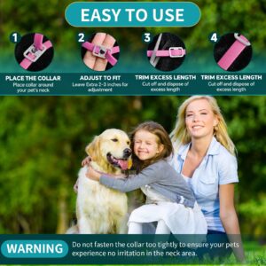 4 Pack Flea Collar for Dogs, Dog Flea and Tick Collar 8 Months Flea and Tick Treatment Prevention for Dogs, Waterproof Adjustable Dog Flea Collar Natural Tick and Flea Collar for Dogs (Oragne&Pink)