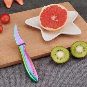 WELLSTAR 2.5 inch Birds Beak Paring Knife, Sharp High Carbon Stainless Steel Curved Blade For Fruit and Vegetable Peeling Garnishing Cutting – Rainbow