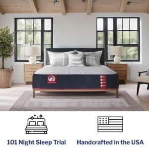 Wolf King Mattress - 14-Inch Plush Pillow Top Memory Foam Hybrid Mattress with 9 Layers, Individually Wrapped Coil, Cooling Design, 101-Night Trial, Have The Right Level of Comfort and Support