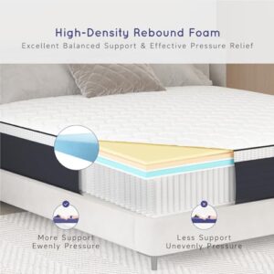 Z-hom Queen Mattress, 10 Inch Upgrade Cooling Memory Foam Mattress in a Box, Sturdy Memory Foam Mattress, Base Foam with Removable Cover, Medium Firm Fiberglass-Free, Grey