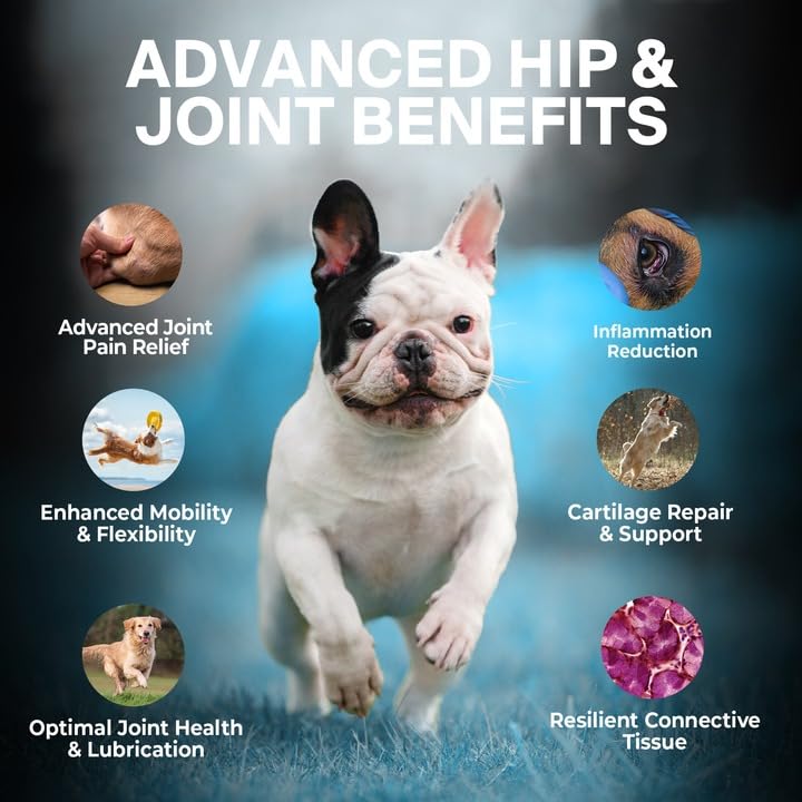 ALFIE'S CHOICE Hip and Joint Chews for Dogs - Advanced Hemp & Glucosamine for Dogs, Hip Joint Supplement for Dogs, Chicken Flavor Dog Joint Supplement Large Breed & Small Breed - 12 oz, Appx 160 Ct