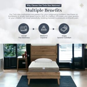 Twin Size Mattress - 8 Inch Cool Comfort Foam & Spring Hybrid Mattress with Breathable Organic Cotton Cover - Quilted Soft Tight Top - Rolled in a Box - Oliver & Smith