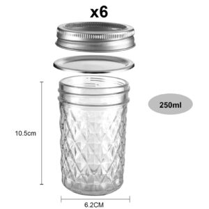 BOMEX Mason Jars Airtight Lids Glass Canning Jars 8oz/250ml Regular Lids Spice Jars Honey Jars for Yogurt,Jam,Spice,Overnight Oats Canning, Preserving,Decorations,Jelly,Dessert,6 Pack (8 oz)