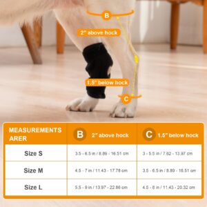 Avont Dog Leg Brace for Back Leg, Canine Rear Ankle Hock Joint Support Hind Leg Compression Wrap for Torn ACL CCL Arthritis, Dog Brace Sleeve Help Recovery from Surgery -Right(M)