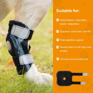 Avont Dog Leg Brace for Back Leg, Canine Rear Ankle Hock Joint Support Hind Leg Compression Wrap for Torn ACL CCL Arthritis, Dog Brace Sleeve Help Recovery from Surgery -Right(M)