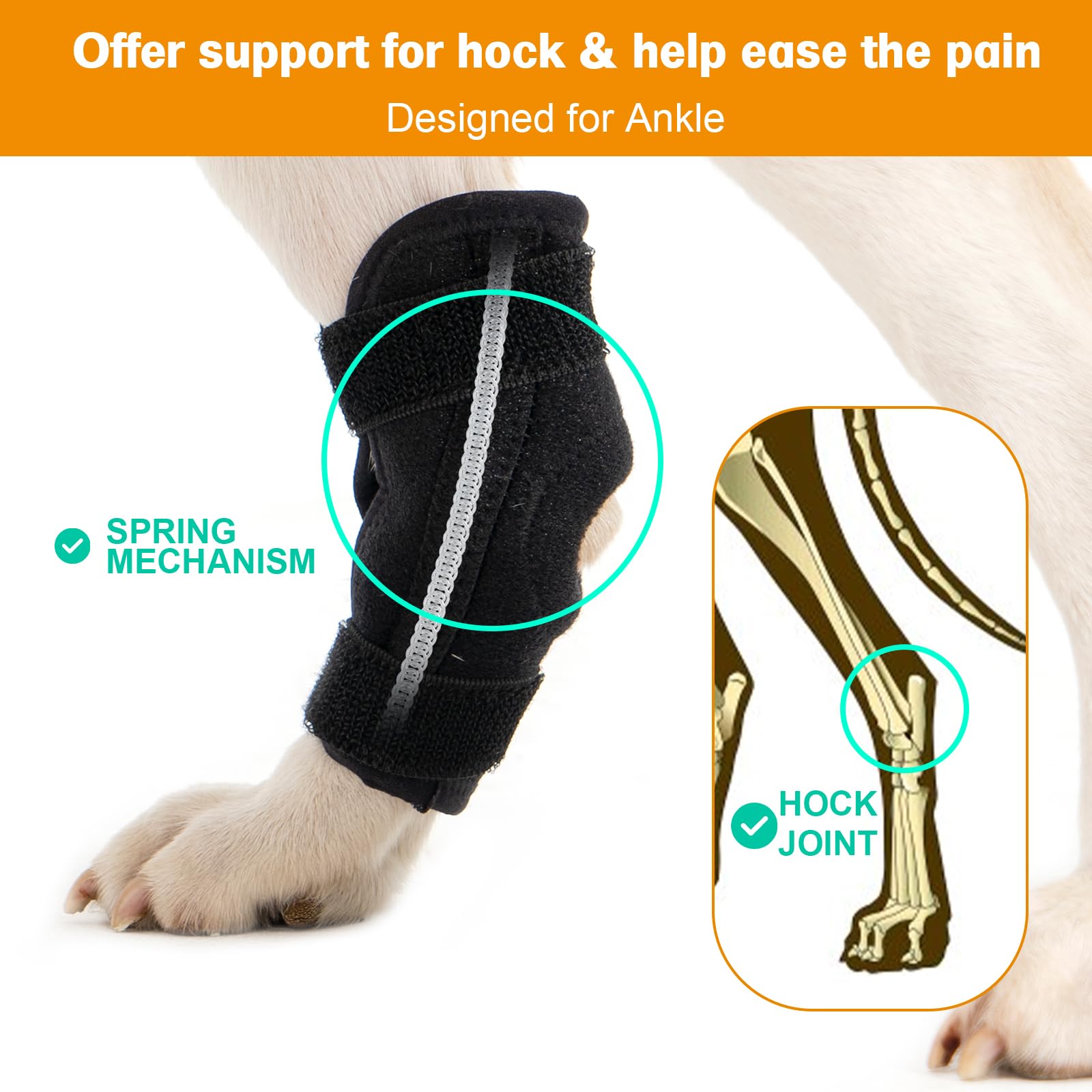 Avont Dog Leg Brace for Back Leg, Canine Rear Ankle Hock Joint Support Hind Leg Compression Wrap for Torn ACL CCL Arthritis, Dog Brace Sleeve Help Recovery from Surgery -Right(M)