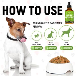 Antibiotic for Dogs | Dog Antibiotic | Antibiotics for Dogs | All Natural Antibiotics | Pet Antibiotics | Organic Ingredients | 2 oz