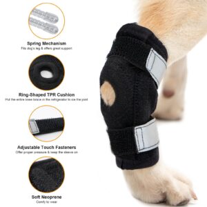 Avont Dog Leg Brace for Back Leg, Canine Rear Ankle Hock Joint Support Hind Leg Compression Wrap for Torn ACL CCL Arthritis, Dog Brace Sleeve Help Recovery from Surgery -Right(M)