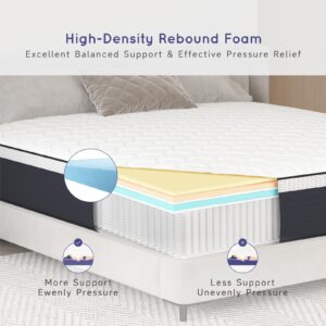 Z-hom Full Mattress, 10 Inch Upgrade Cooling Memory Foam Mattress in a Box, Pocket Spring Hybrid Mattress in a Box for Strong Edge Support & Pressure Relief, Non-Fiberglass Mattressess