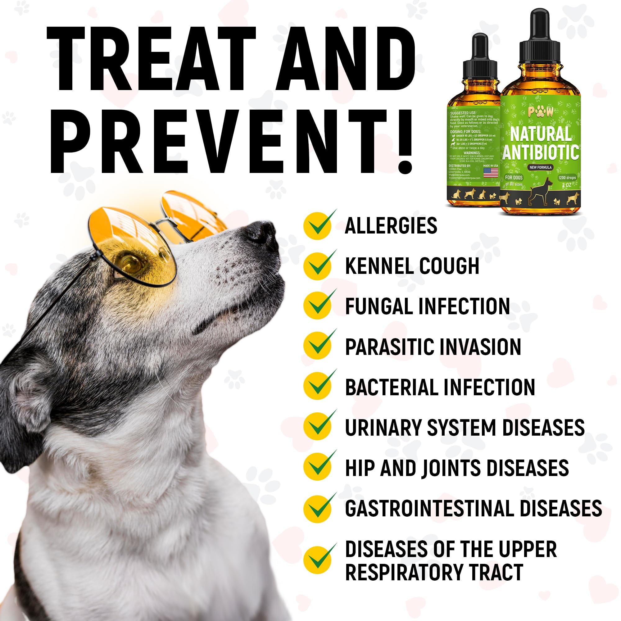 Antibiotic for Dogs | Dog Antibiotic | Antibiotics for Dogs | All Natural Antibiotics | Pet Antibiotics | Organic Ingredients | 2 oz