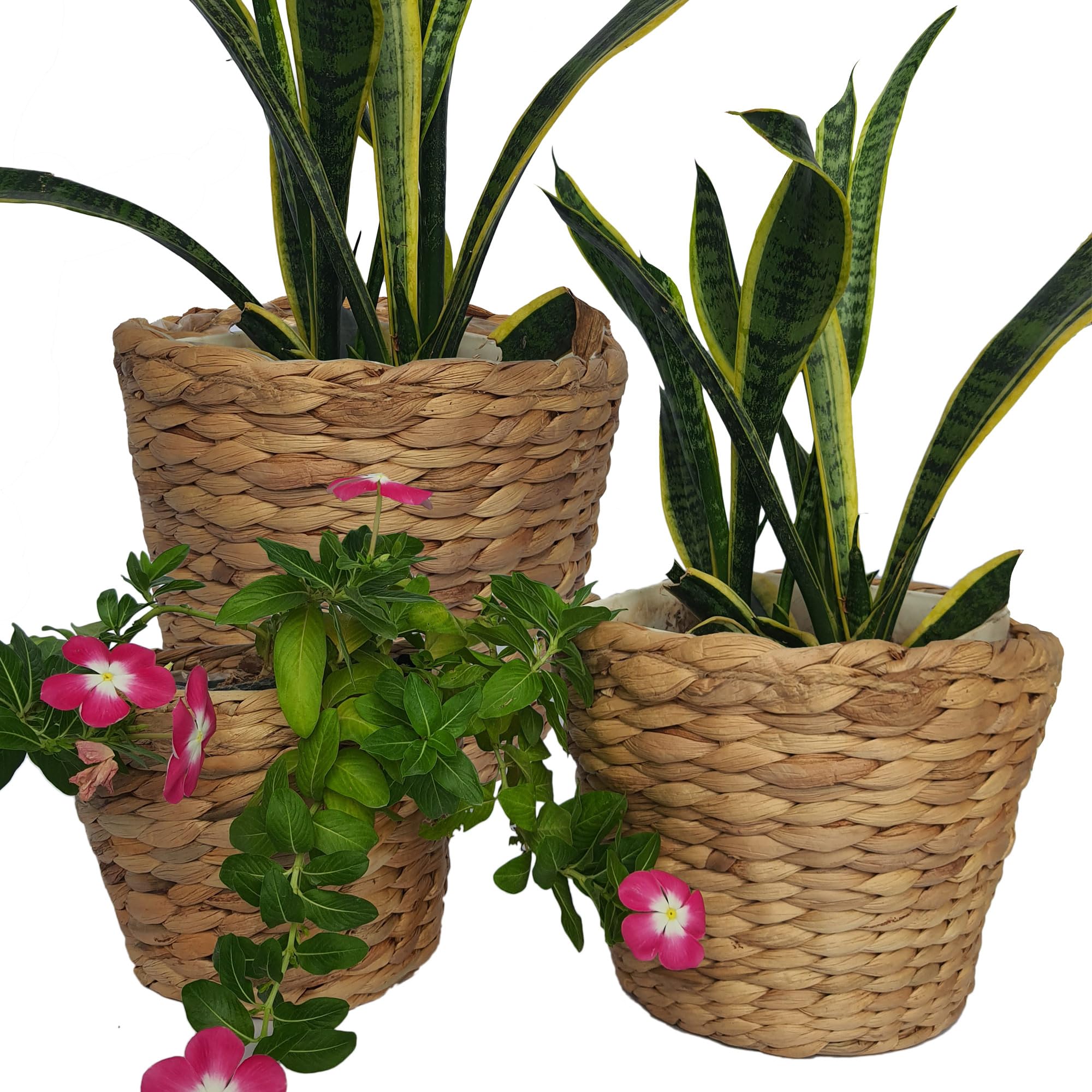 Set of 3 pcs Stylish Seagrass Planter Basket - Natural Water Hyacinth Small Storage - Made of Eco Friendly - Flower Pot Table Decoration - Boho Decor - Gift For Her