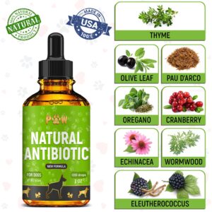 Antibiotic for Dogs | Dog Antibiotic | Antibiotics for Dogs | All Natural Antibiotics | Pet Antibiotics | Organic Ingredients | 2 oz