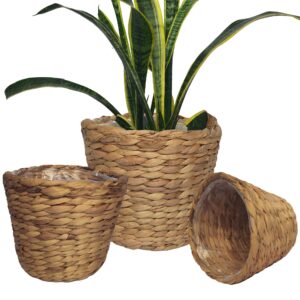 set of 3 pcs stylish seagrass planter basket - natural water hyacinth small storage - made of eco friendly - flower pot table decoration - boho decor - gift for her