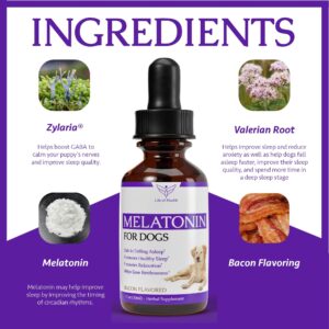 Dog Melatonin | Melatonin for Dogs | Melatonin for Dogs Sleep | Sleep Aid for Dogs | Dog Sleep Aid | Dog Calming | Calming for Dogs | Dog Calming Treats | Dog Anxiety Relief | 1 fl oz Bacon Flavor