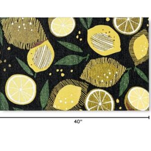 TOWN & COUNTRY LUXE Livie Fresh Lemon Everwash™ Washable Multi-Use Decorative Rug, Kitchen Rug, Low-Profile Door Mat, Bedroom Rug and Dorm Room Rug with Non-Slip Backing, Black, 24"x40"