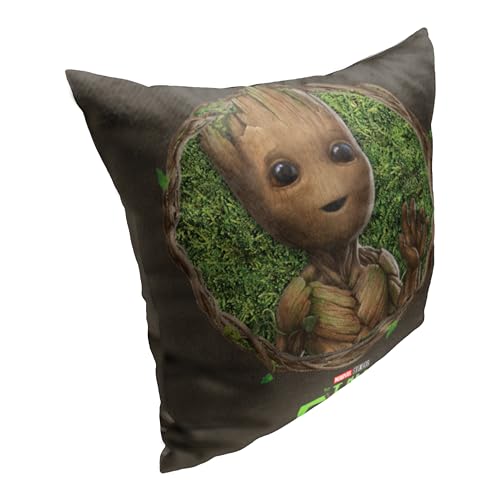 Northwest Guardians of The Galaxy Pillow, 18" x 18", Groot Frame