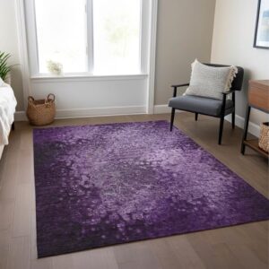 Addison Rugs Chantille ACN565 Purple 5' x 7'6 Indoor Outdoor Area Rug, Stain Resistant, Machine Washable, Non Shedding, Bedroom, Living Room, Dining Room, Kitchen Rug