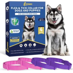 4 pack flea collar for dogs, 8 months flea and tick prevention for dogs, waterproof dog flea collar, natural dog flea and tick treatment, adjustable flea and tick collar for dogs puppy(pink&purple)