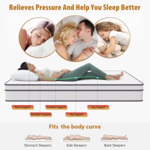 BLKMTY Mattress Full Size Mattress 10 Inch Mattress Innerspring Mattress with High Density Foam Mattress Bed-in-a-Box Twin Spring Mattress Pressure Relief for Adults, CertiPUR-US Certified