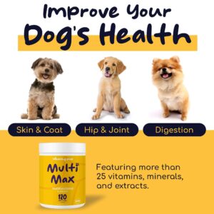 Dog Multivitamin Supplement - 120 Soft Chew Dog Vitamins and Supplements with Omega, Probiotics, Glucosamine, and More - for Small, Large, and Senior Dogs