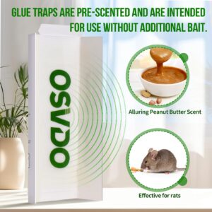 Mouse & Insect Glue Trap for Indoor, 10 Pack Mouse Traps for Home, Sticky Pest Control Adhesive Tray for Catching Rats, Rodents, Bugs, Non Toxic Pre-Baited Glue Boards