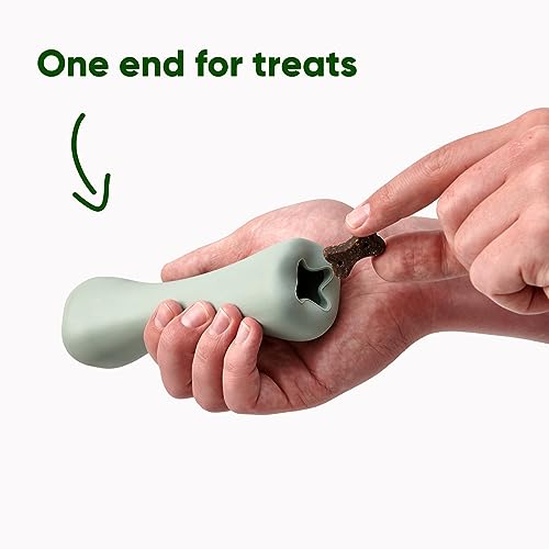 Beco Dog Toy - Natural Rubber Chew Bone Toy with Treat Hole - Green