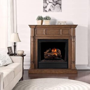 Duluth Forge DLS-18R-1 Dual Fuel Ventless Fireplace Logs Set with Remote Control, Use with Natural Gas or Liquid Propane, 30000 BTU, Heats up to 1000 Sq. Ft, Split Red Oak, 18 Inches