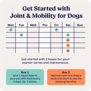 Summit Animal Health Joint and Mobility Supplement for Large Dogs (Previously Lift), All Natural Liquid Chrondroitin with Liposomal Delivery for Arthritis, Hip & Joint Support Vitamin, (Dogs 75+lbs)