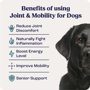 Summit Animal Health Joint and Mobility Supplement for Large Dogs (Previously Lift), All Natural Liquid Chrondroitin with Liposomal Delivery for Arthritis, Hip & Joint Support Vitamin, (Dogs 75+lbs)