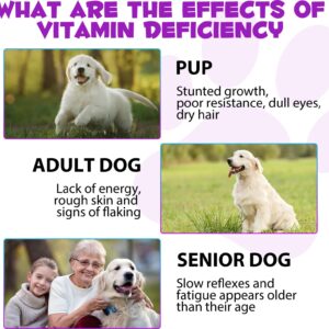 Dog Multivitamin - 15 in 1 Multivitamin Drops for Dogs, Dog Vitamins with Glucosamine Cranberry Supports Joint & Digestion, Skin & Coat, Pets Supplements for Dogs of All Ages, Bacon Flavor - 2 Fl Oz