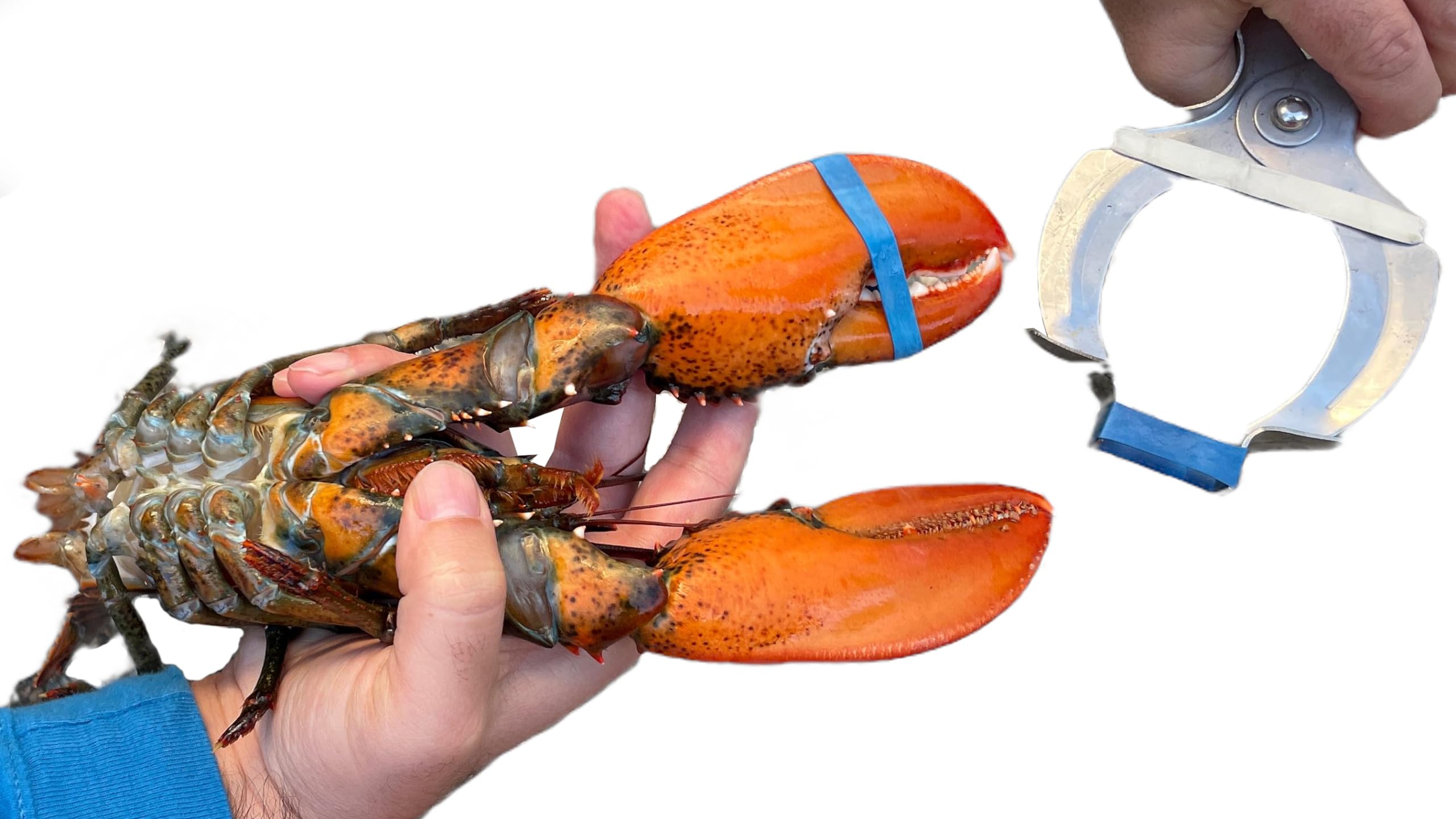 AirFly Crab, Lobster Claw Rubber Band Pliers (Bands not Included)