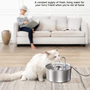 IHOUONE Cat Water Fountain : 108oz/3.2L Water Fountain for Cats Inside, Stainless Steel Cat Water Fountain, Super Silen, Pet Water Fountain with Splash-Proof Design, Multi-Filtration, Dishwasher Safe