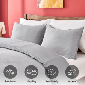 Ailemei Direct Duvet Cover King Size, Duvet Cover Gray Breathable and Soft in Boho Style, Shabby Chic Embroidery Duvet Cover Set for All Seasons 3 Pieces 104” x 90”(Gray)