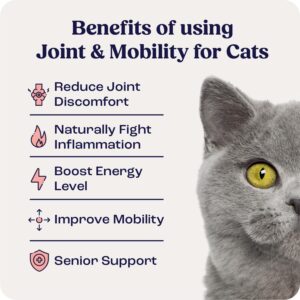 Summit Animal Health Lift Feline Pain Relief Supplement Inflammation Hip & Joint Support Vitamin for Cats - Natural Chondroitin with Liposomal Delivery for Arthritis - Drug Free - All Ages