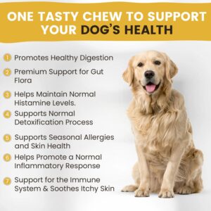 Allergy and Itch Skin Supplement | Immune Support Chews with Probiotics, Turmeric, Omega 3, Colostrum | Dog Chews for Gut & Digestive Health, Seasonal Allergies, Nose Congestion