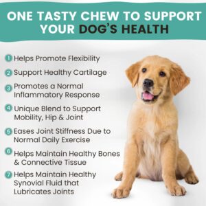 Vitamin Paws Mobility Hip and Joint Chews for Dogs Maximum Strength | Joints Health Supplement with Glucosamine, Chondroitin, MSM, Turmeric, Green Lipped Mussels, Wild Alaskan Salmon Oil, Omega 3