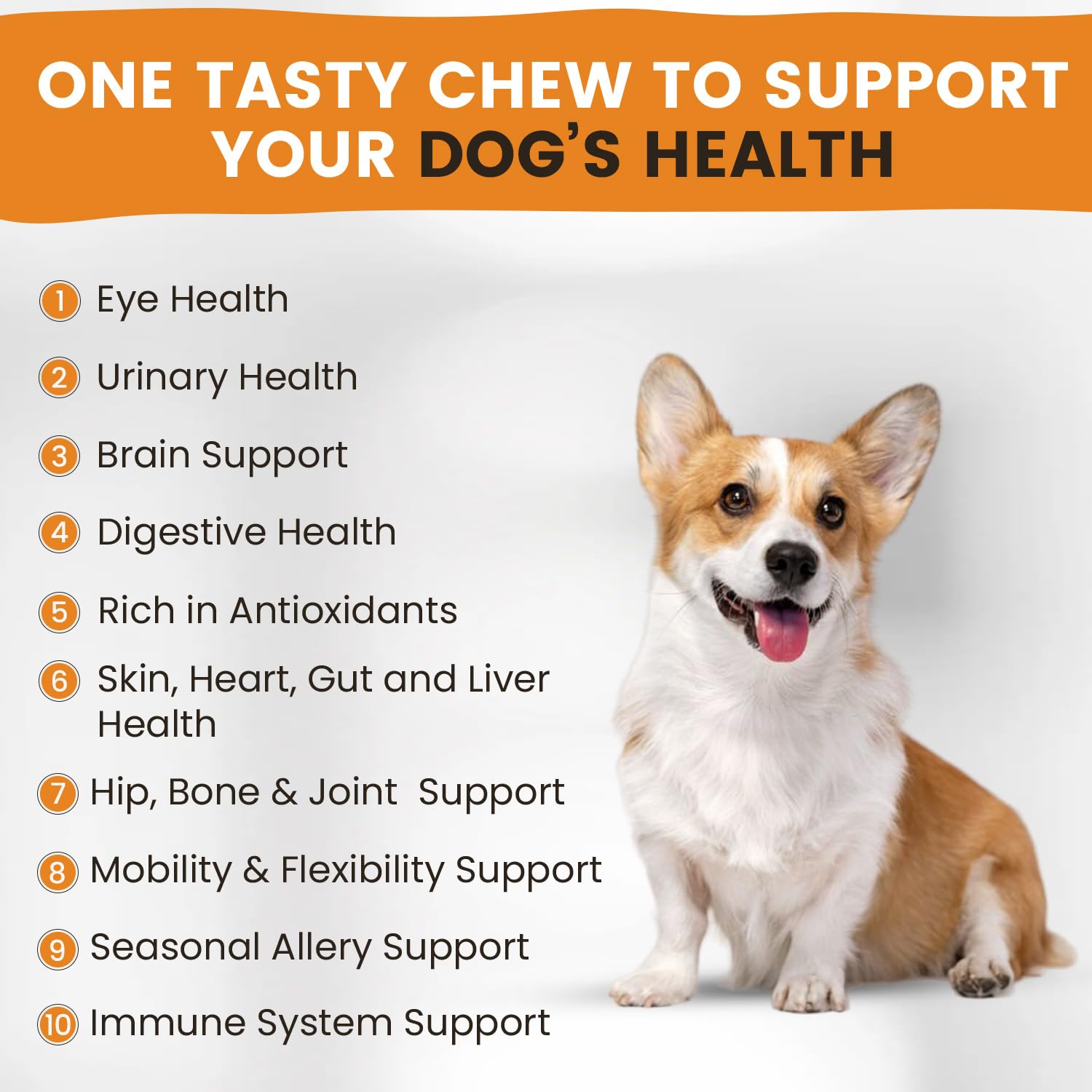 All-in-1 Multivitamin Dog Vitamins and Supplements | Soft Chews with Probiotics, Turmeric, Glucosamine, Omega Fish Oil, Digestive Enzymes for Hip and Joint Support, Skin and Coat Health