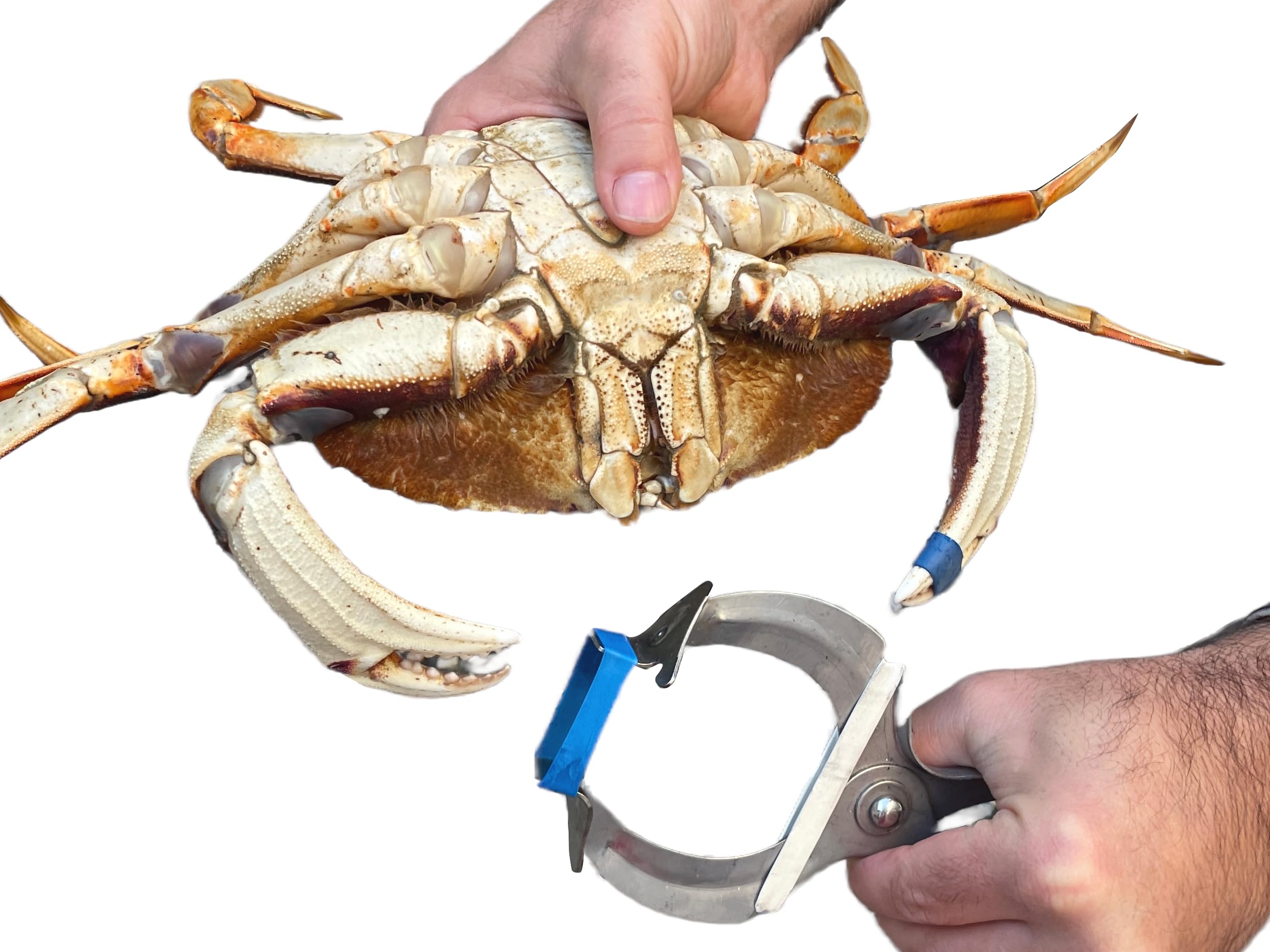 AirFly Crab, Lobster Claw Rubber Band Pliers (Bands not Included)