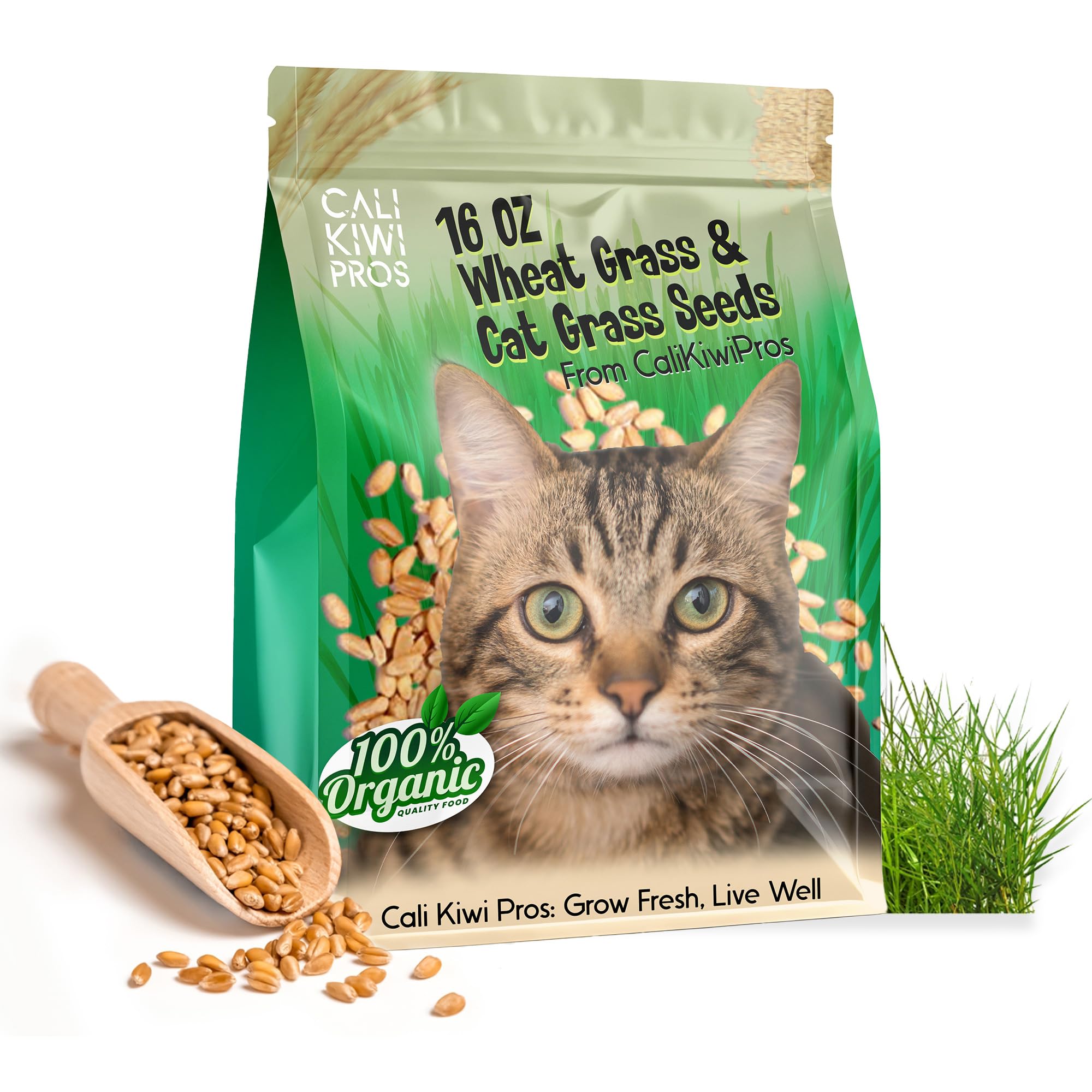 Cali Kiwi Pros Organic Cat Grass for Indoor Cats & Pets-Wheat Grass & Cat Grass Seeds for Digestion and Hairballs - Non-GMO -16 oz